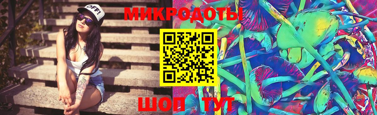 A PVP Кудымкар