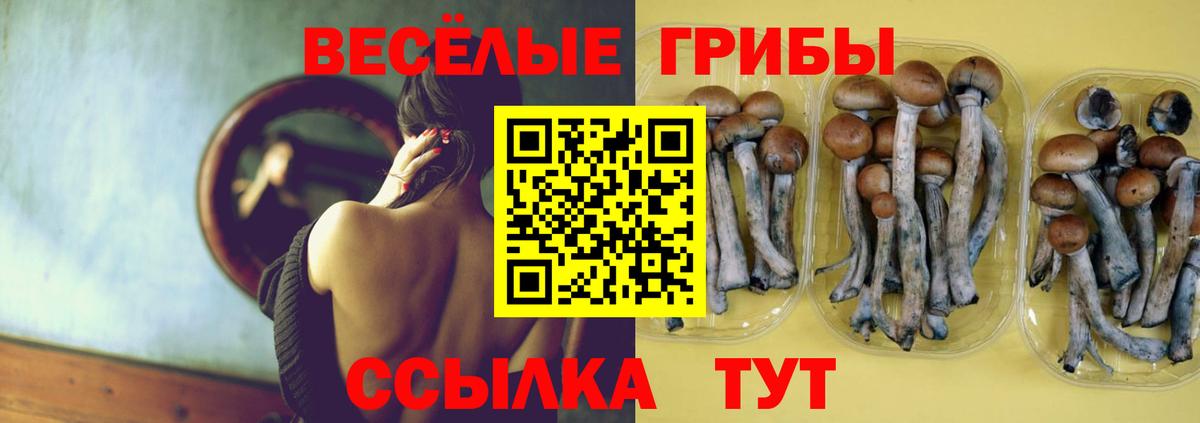 Галлюциногенные грибы ЛСД  Вход с VPN  Кудымкар 