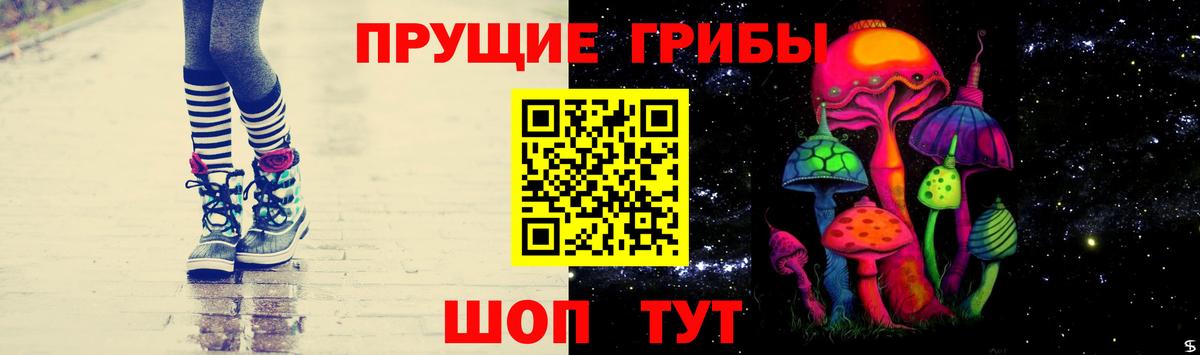 Псилоцибиновые грибы прущие грибы Кудымкар